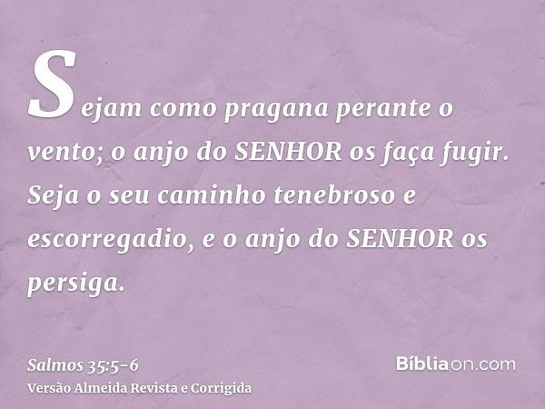 Sejam como pragana perante o vento; o anjo do SENHOR os faça fugir.Seja o seu caminho tenebroso e escorregadio, e o anjo do SENHOR os persiga.