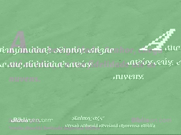 A tua benignidade, Senhor, chega até os céus, e a tua fidelidade até as nuvens.