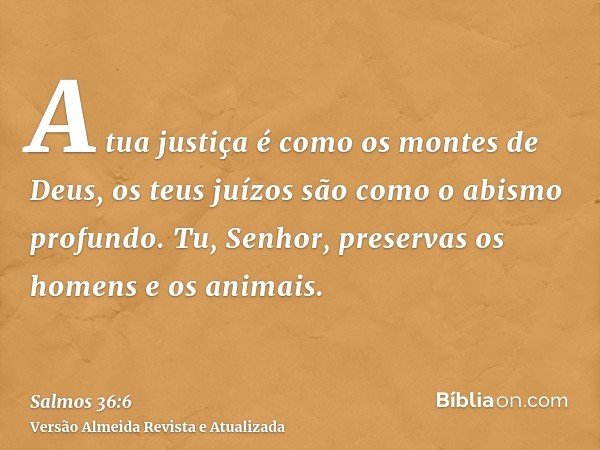 A tua justiça é como os montes de Deus, os teus juízos são como o abismo profundo. Tu, Senhor, preservas os homens e os animais.