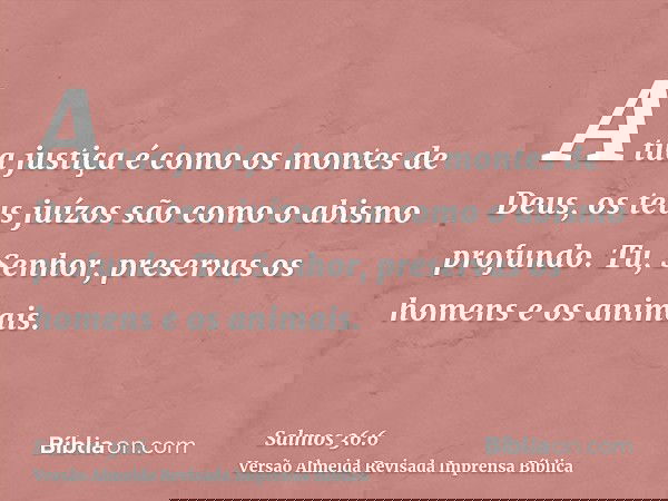 A tua justiça é como os montes de Deus, os teus juízos são como o abismo profundo. Tu, Senhor, preservas os homens e os animais.