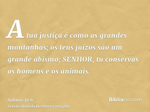 A tua justiça é como as grandes montanhas; os teus juízos são um grande abismo; SENHOR, tu conservas os homens e os animais.