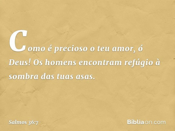 Como é precioso o teu amor, ó Deus!
Os homens encontram
refúgio à sombra das tuas asas. -- Salmo 36:7