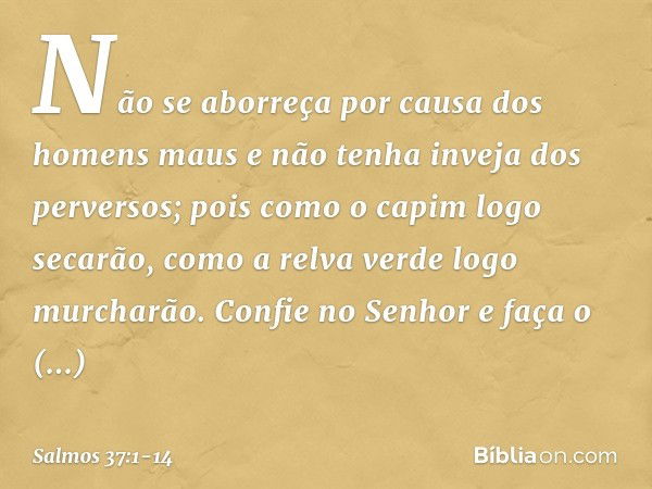 Não se aborreça por causa dos homens maus
e não tenha inveja dos perversos; pois como o capim logo secarão,
como a relva verde logo murcharão. Confie no Senhor 