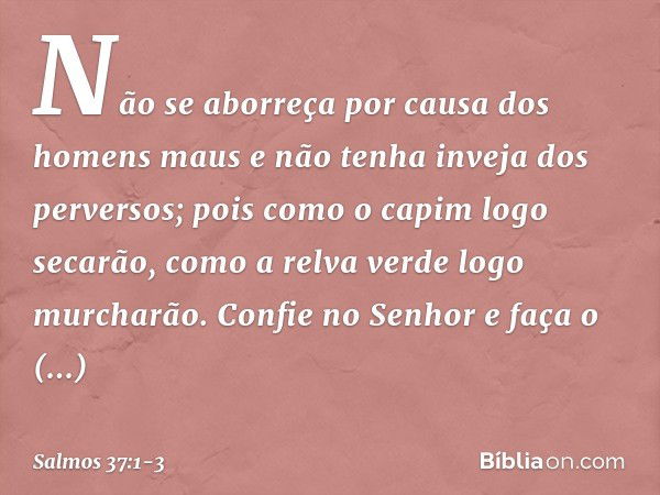 Não se aborreça por causa dos homens maus
e não tenha inveja dos perversos; pois como o capim logo secarão,
como a relva verde logo murcharão. Confie no Senhor 