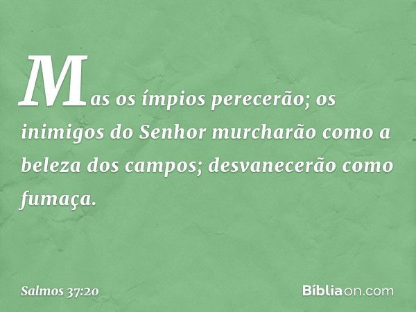 Mas os ímpios perecerão;
os inimigos do Senhor
murcharão como a beleza dos campos;
desvanecerão como fumaça. -- Salmo 37:20