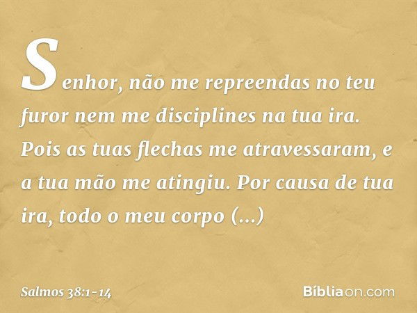 Senhor, não me repreendas no teu furor
nem me disciplines na tua ira. Pois as tuas flechas me atravessaram,
e a tua mão me atingiu. Por causa de tua ira,
todo o