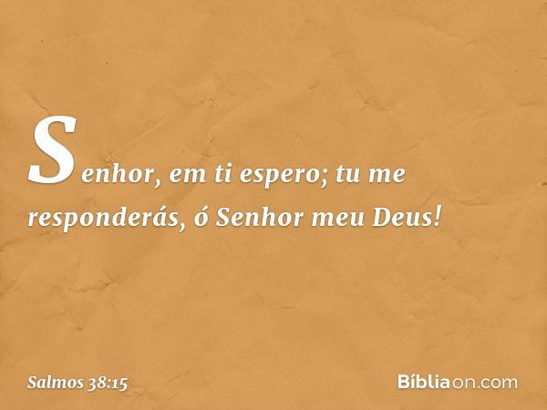 Senhor, em ti espero;
tu me responderás, ó Senhor meu Deus! -- Salmo 38:15