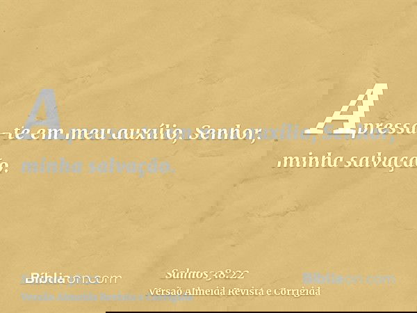 Apressa-te em meu auxílio, Senhor, minha salvação.