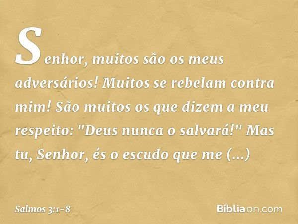 Senhor, muitos são os meus adversários!
Muitos se rebelam contra mim! São muitos os que dizem a meu respeito:
"Deus nunca o salvará!" Mas tu, Senhor,
és o escud