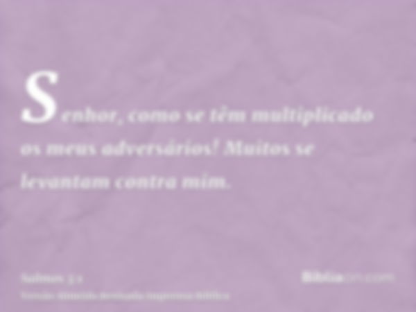 Senhor, como se têm multiplicado os meus adversários! Muitos se levantam contra mim.