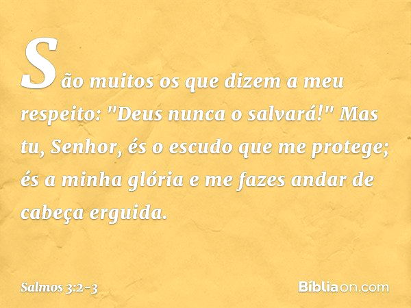 Salmo 23:2-3 - Bíblia