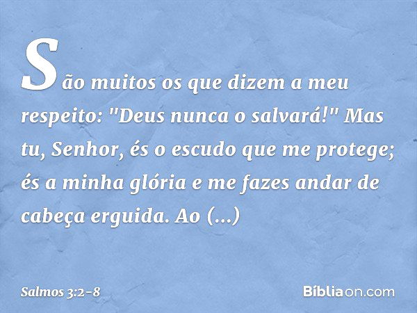 São muitos os que dizem a meu respeito:
"Deus nunca o salvará!" Mas tu, Senhor,
és o escudo que me protege;
és a minha glória
e me fazes andar de cabeça erguida