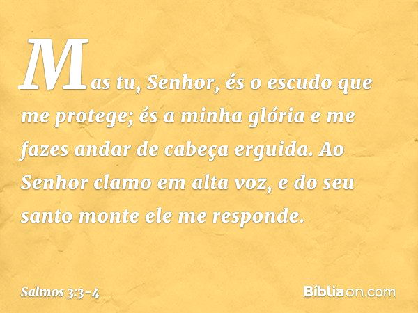 Mas tu, Senhor,
és o escudo que me protege;
és a minha glória
e me fazes andar de cabeça erguida. Ao Senhor clamo em alta voz,
e do seu santo monte ele me respo