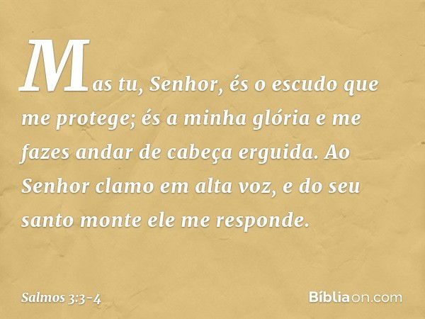 Mas tu, Senhor,
és o escudo que me protege;
és a minha glória
e me fazes andar de cabeça erguida. Ao Senhor clamo em alta voz,
e do seu santo monte ele me respo