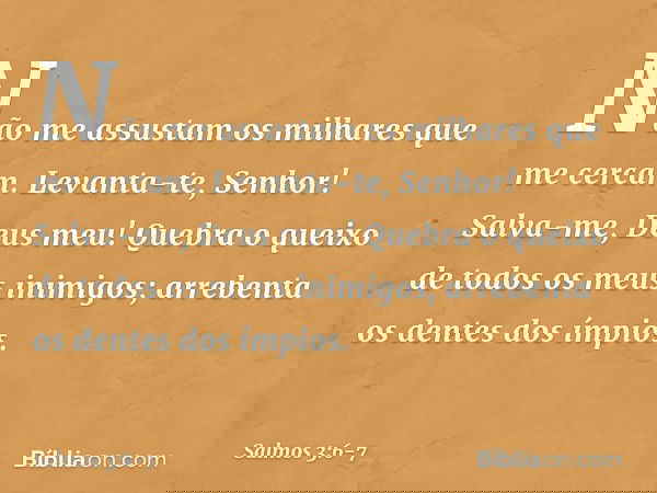 Não me assustam os milhares que me cercam. Levanta-te, Senhor!
Salva-me, Deus meu!
Quebra o queixo de todos os meus inimigos;
arrebenta os dentes dos ímpios. --