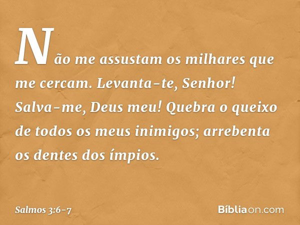 Não me assustam os milhares que me cercam. Levanta-te, Senhor!
Salva-me, Deus meu!
Quebra o queixo de todos os meus inimigos;
arrebenta os dentes dos ímpios. --