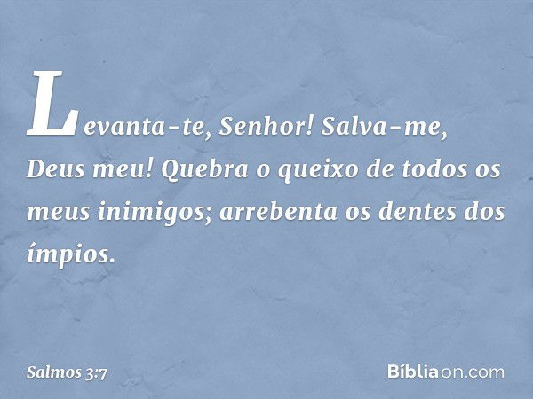 Levanta-te, Senhor!
Salva-me, Deus meu!
Quebra o queixo de todos os meus inimigos;
arrebenta os dentes dos ímpios. -- Salmo 3:7