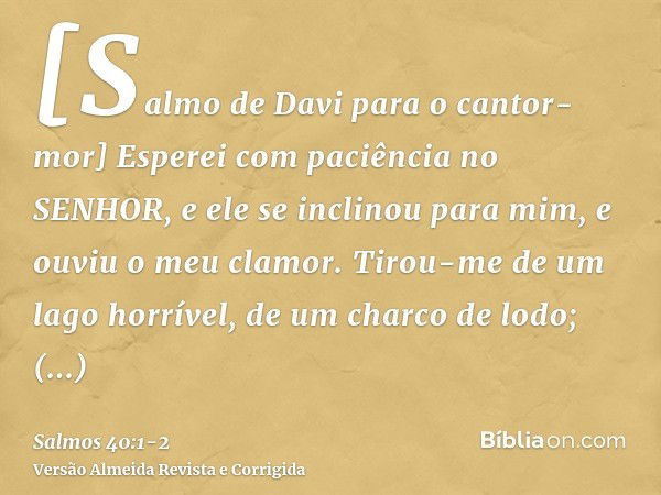 [Salmo de Davi para o cantor-mor] Esperei com paciência no SENHOR, e ele se inclinou para mim, e ouviu o meu clamor.Tirou-me de um lago horrível, de um charco d