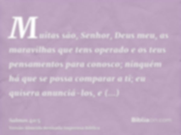 Muitas são, Senhor, Deus meu, as maravilhas que tens operado e os teus pensamentos para conosco; ninguém há que se possa comparar a ti; eu quisera anunciá-los, 