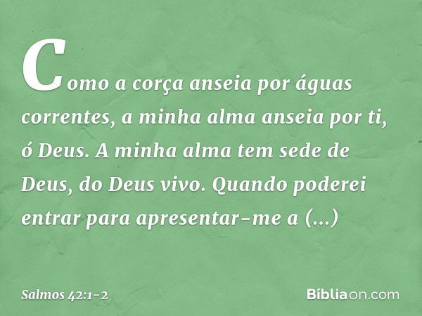 Como a corça anseia por águas correntes,
a minha alma anseia por ti, ó Deus. A minha alma tem sede de Deus, do Deus vivo.
Quando poderei entrar
para apresentar-