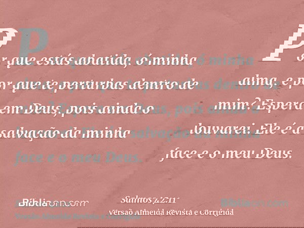 Por que estás abatida, ó minha alma, e por que te perturbas dentro de mim? Espera em Deus, pois ainda o louvarei. Ele é a salvação da minha face e o meu Deus.