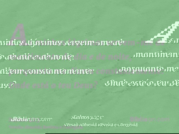 As minhas lágrimas servem-me de mantimento de dia e de noite, porquanto me dizem constantemente: Onde está o teu Deus?