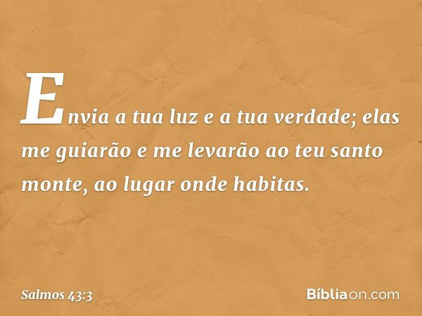 Envia a tua luz e a tua verdade;
elas me guiarão
e me levarão ao teu santo monte,
ao lugar onde habitas. -- Salmo 43:3