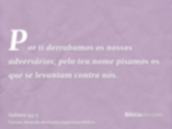 Por ti derrubamos os nossos adversários; pelo teu nome pisamos os que se levantam contra nós.