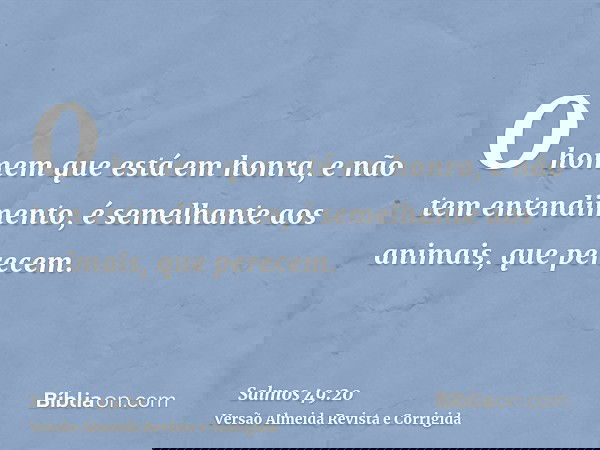 O homem que está em honra, e não tem entendimento, é semelhante aos animais, que perecem.