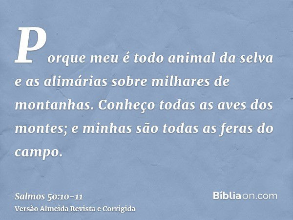 Porque meu é todo animal da selva e as alimárias sobre milhares de montanhas.Conheço todas as aves dos montes; e minhas são todas as feras do campo.