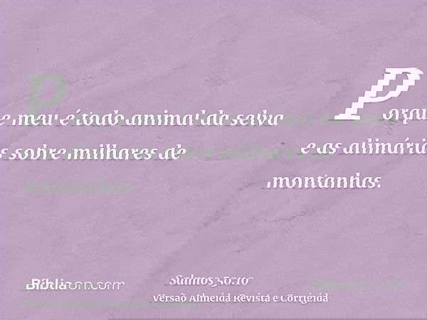 Porque meu é todo animal da selva e as alimárias sobre milhares de montanhas.