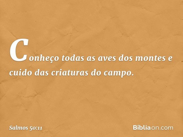 Conheço todas as aves dos montes
e cuido das criaturas do campo. -- Salmo 50:11