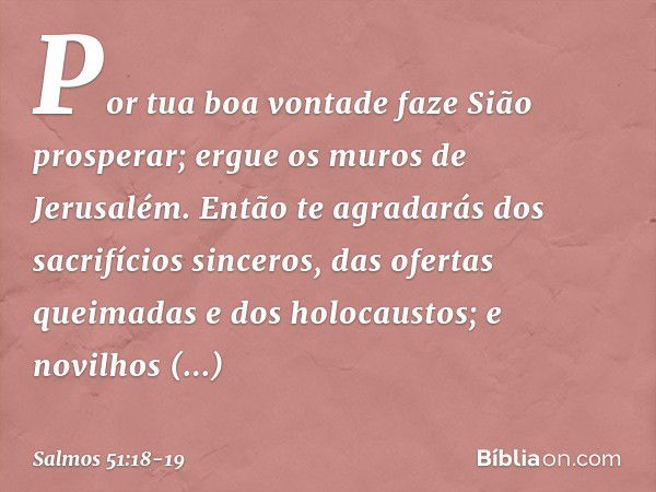 Por tua boa vontade faze Sião prosperar;
ergue os muros de Jerusalém. Então te agradarás dos sacrifícios sinceros,
das ofertas queimadas e dos holocaustos;
e no