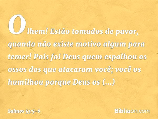 Olhem! Estão tomados de pavor,
quando não existe motivo algum para temer!
Pois foi Deus quem espalhou os ossos
dos que atacaram você;
você os humilhou porque De