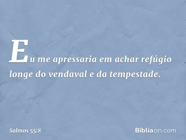 Eu me apressaria em achar refúgio
longe do vendaval e da tempestade. -- Salmo 55:8