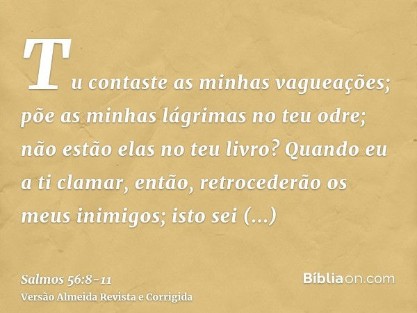 Tu contaste as minhas vagueações; põe as minhas lágrimas no teu odre; não estão elas no teu livro?Quando eu a ti clamar, então, retrocederão os meus inimigos; i