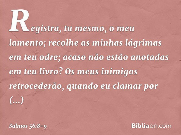 Registra, tu mesmo, o meu lamento;
recolhe as minhas lágrimas em teu odre;
acaso não estão anotadas em teu livro? Os meus inimigos retrocederão,
quando eu clama