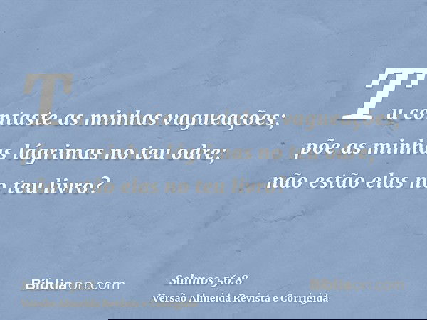 Tu contaste as minhas vagueações; põe as minhas lágrimas no teu odre; não estão elas no teu livro?