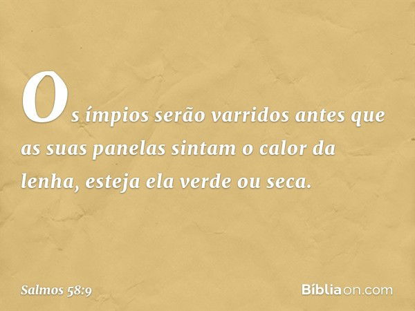 Os ímpios serão varridos
antes que as suas panelas
sintam o calor da lenha,
esteja ela verde ou seca. -- Salmo 58:9