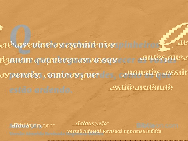 Que ele arrebate os espinheiros antes que cheguem a aquecer as vossas panelas, assim os verdes, como os que estão ardendo.