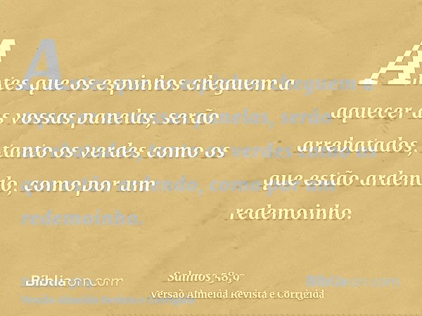 Antes que os espinhos cheguem a aquecer as vossas panelas, serão arrebatados, tanto os verdes como os que estão ardendo, como por um redemoinho.