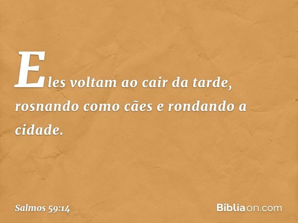 Eles voltam ao cair da tarde,
rosnando como cães
e rondando a cidade. -- Salmo 59:14