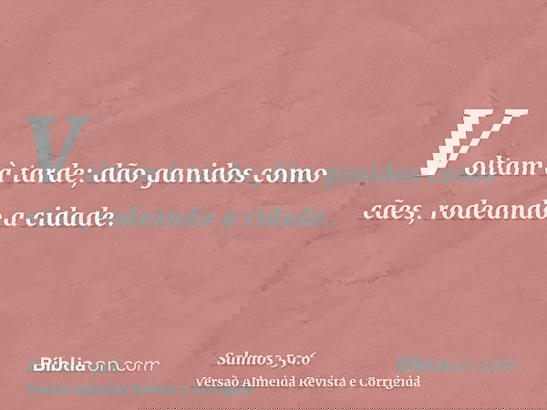 Voltam à tarde; dão ganidos como cães, rodeando a cidade.