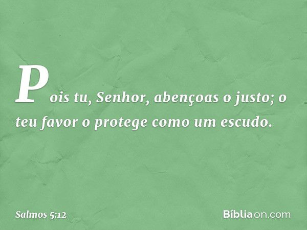 Pois tu, Senhor, abençoas o justo;
o teu favor o protege como um escudo. -- Salmo 5:12