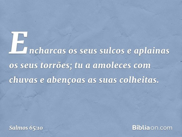 Encharcas os seus sulcos
e aplainas os seus torrões;
tu a amoleces com chuvas
e abençoas as suas colheitas. -- Salmo 65:10