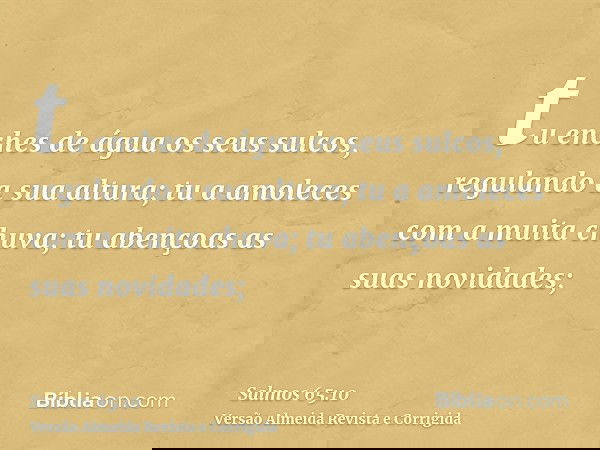 tu enches de água os seus sulcos, regulando a sua altura; tu a amoleces com a muita chuva; tu abençoas as suas novidades;