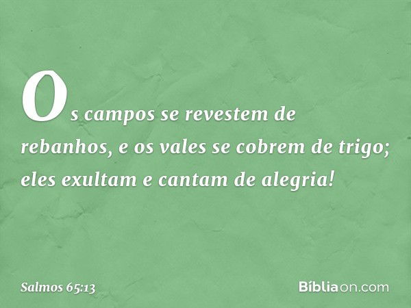 Os campos se revestem de rebanhos,
e os vales se cobrem de trigo;
eles exultam e cantam de alegria! -- Salmo 65:13