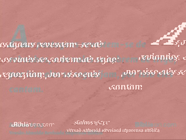 As pastagens revestem-se de rebanhos, e os vales se cobrem de trigo; por isso eles se regozijam, por isso eles cantam.