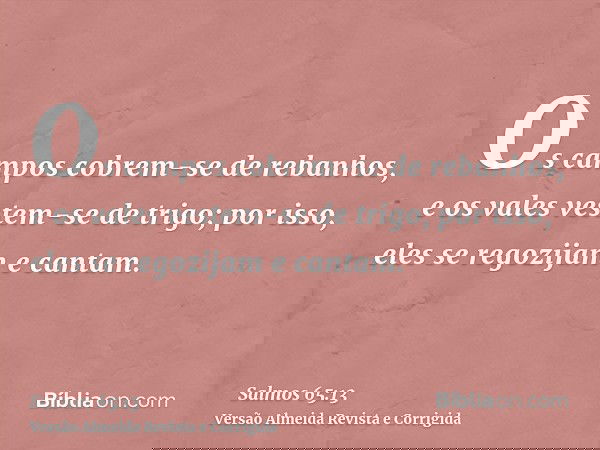 Os campos cobrem-se de rebanhos, e os vales vestem-se de trigo; por isso, eles se regozijam e cantam.