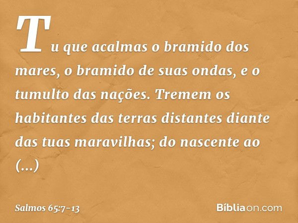 Tu que acalmas o bramido dos mares,
o bramido de suas ondas,
e o tumulto das nações. Tremem os habitantes das terras distantes
diante das tuas maravilhas;
do na